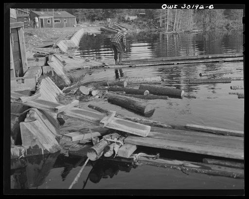Untitled photo, possibly related to: Spring pulpwood drive on the Brown Company timber holdings in Maine. Feeding logs through the sluice at Long Pond. A key log is caught with twisted point of a pike, and as the woodman pulls this log, others are carried with it into the sluiceway