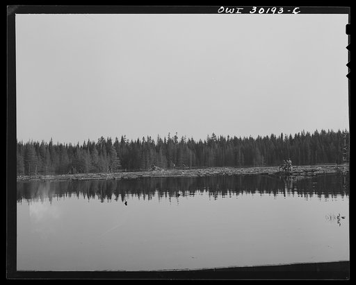 Untitled photo, possibly related to: Spring pulpwood drive on the Brown Company timber holdings in Maine. Woodsmen winching up the boom on Long Pond; during the night the wind has blown the logs in the boom up pond away from the dam through which they must be sluiced