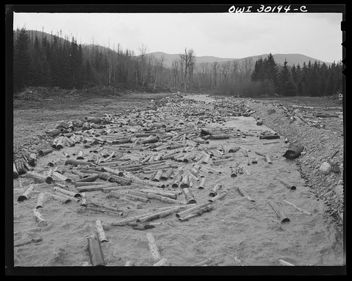 Spring pulpwood drive on the Brown Company timber holdings in Maine. A small "head" at the mouth of Dennison Bog Brook