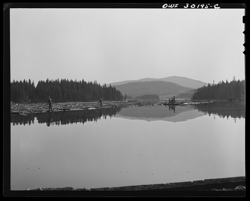 Spring pulpwood drive on the Brown Company timber holdings in Maine. Pikemen keeping the logs moving down toward the sluice