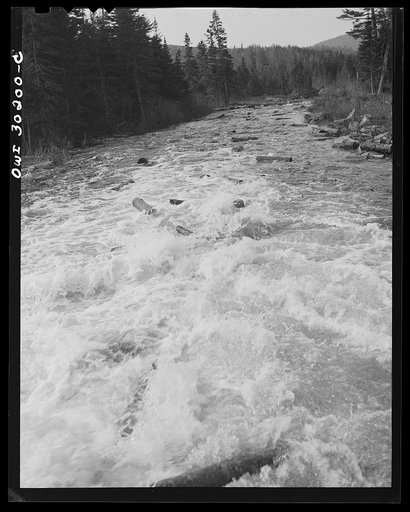 Spring pulpwood drive on the Brown Company timber holdings in Maine. Wood riding the rapids below the power dam in the Kennebago River