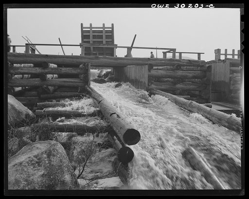 Spring pulpwood drive on the Brown Company timber holdings in Maine. Pulpwood sluicing through the dam at Long Pond