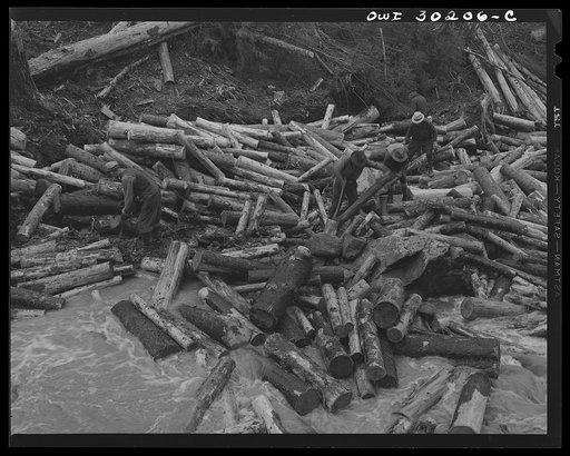 Untitled photo, possibly related to: Spring pulpwood drive on the Brown Company timber holdings in Maine. Woodsmen with picks "putting in rears," moving into the stream bed logs that have been left behind after a "head" has passed