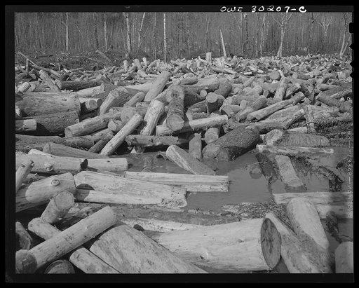 Spring pulpwood drive on the Brown Company timber holdings in Maine. Pulpwood caught in a jam on Dennison Bog Brook