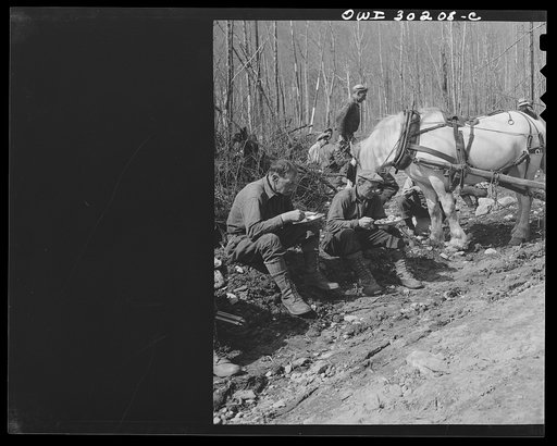 Untitled photo, possibly related to: Spring pulpwood drive on the Brown Company timber holdings in Maine. This horse, which has hauled the lunch wagon near where the woodsmen are working, is one of a large group of intelligent, well-trained, and well-cared-for horses which in winter haul the wood ov