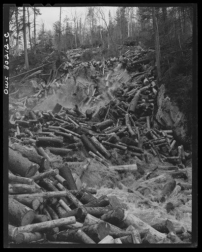 Spring pulpwood drive on the Brown Company timber holdings in Maine. A "head" of water released from a dam upstream, carries the logs down the brooks to larger streams and rivers