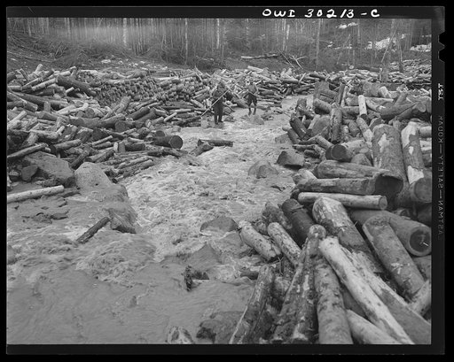 Untitled photo, possibly related to: Spring pulpwood drive on the Brown Company timber holdings in Maine. Turbulent waters of a small brook swelled by a "head," water released from a dam upstream to carry the logs down to larger streams and rivers