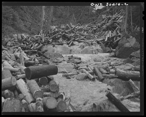 Spring pulpwood drive on the Brown Company timber holdings in Maine. When a "head" has passed and the stream subsides to its normal flow of water, there are logs called "rears," which have been left behind thrown up on the banks or caught on snags