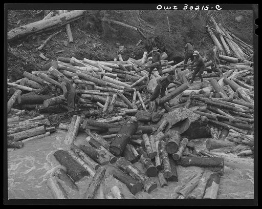 Spring pulpwood drive on the Brown Company timber holdings in Maine. Woodsmen with picks "putting in rears," moving into the stream bed logs that have been left behind after a "head" has passed