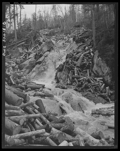 Spring pulpwood drive on the Brown Company timber holdings in Maine. A "head" of water, released from a dam upstream to carry the logs down to the rivers, reaching the top of a falls on its steep journey down Dennison Bog Brook