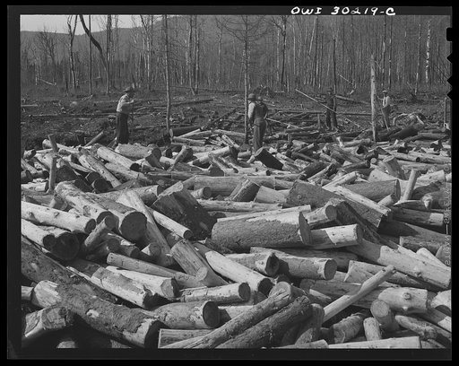 Untitled photo, possibly related to: Spring pulpwood drive on the Brown Company timber holdings in Maine. Woodsmen with pikes working on a jam which has formed in Dennison Bog Brook