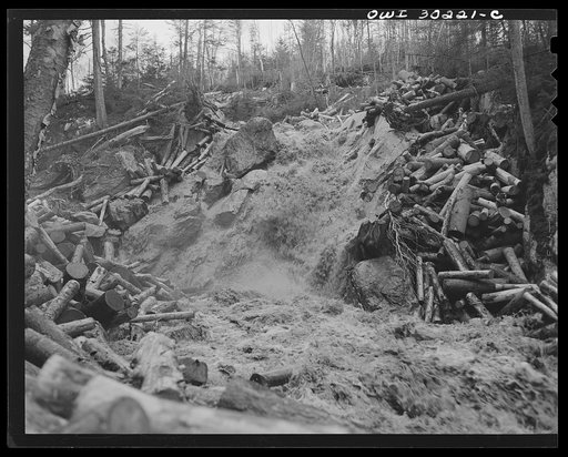 Spring pulpwood drive on the Brown Company timber holdings in Maine. A "head" of water released from a dam upstream has washed down the logs that lay in its path. The force of the spring drive has already uprooted two large trees at the head of this little falls