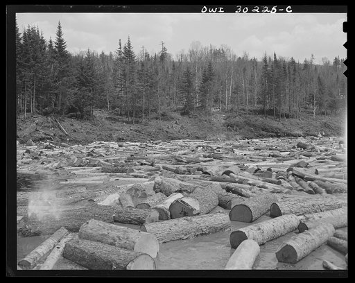 Untitled photo, possibly related to: Spring pulpwood drive on the Brown Company timber holdings in Maine. Pulpwood caught in a jam on Dennison Bog Brook