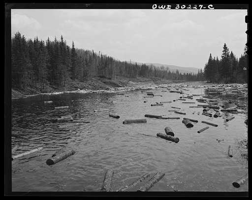 Untitled photo, possibly related to: Spring pulpwood drive on the Brown Company timber holdings in Maine. A "head" of water carrying logs from Dennison Bog Brook into the larger Kennebago River