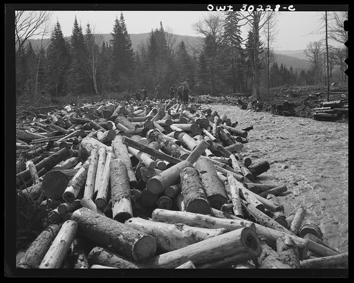 Spring pulpwood drive on the Brown Company timber holdings in Maine. Woodsmen with picks and pikes "putting in rears," moving into the streambed logs that have been left behind after a "head" has passed