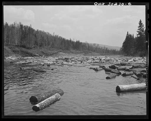 Spring pulpwood drive on the Brown Company timber holdings in Maine. A "head" of water carrying logs from Dennison Bog Brook into the larger Kennebago River