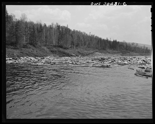 Untitled photo, possibly related to: Spring pulpwood drive on the Brown Company timber holdings in Maine. A "head" of water carrying logs from Dennison Bog Brook into the larger Kennebago River