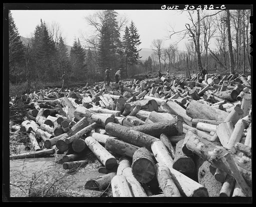 Untitled photo, possibly related to: Spring pulpwood drive on the Brown Company timber holdings in Maine. Woodsmen with picks and pikes "putting in rears," moving into the streambed logs that have been left behind after a "head" has passed