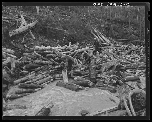 Untitled photo, possibly related to: Spring pulpwood drive on the Brown Company timber holdings in Maine. Woodsmen with picks "putting in rears," moving into the stream bed logs that have been left behind after a "head" has passed