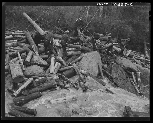 Spring pulpwood drive on the Brown Company timber holdings in Maine. Woodsmen with picks "putting in rears," moving into the stream bed logs that have been left behind after a "head" has passed