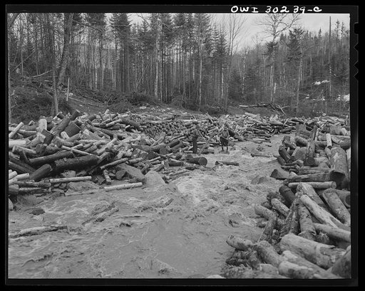 Spring pulpwood drive on the Brown Company timber holdings in Maine. Woodsmen with pikes "putting in rears." Piled logs on the bank behind them have been taken out of the center of the stream to prevent a jam