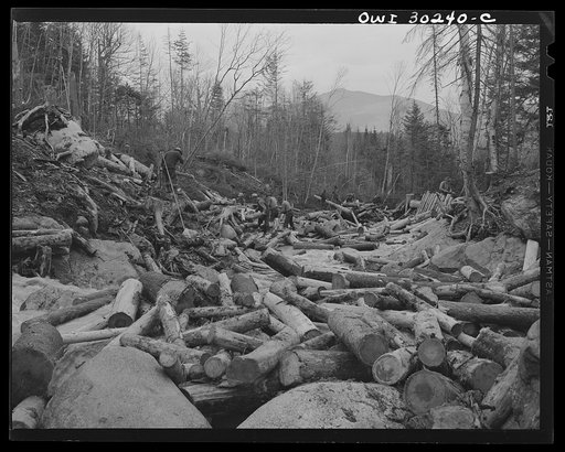 Spring pulpwood drive on the Brwon Company timber holdings in Maine. Woodsmen with picks and pikes "putting in rears," moving into the streambed logs that have been left behind after a "head" has passed. The wall of logs at right center has been built to prevent further washing away of the bank at t