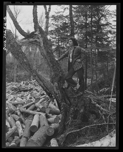 Untitled photo, possibly related to: Spring pulpwood drive on the Brown Company timber holdings in Maine. A "head" of water released from a dam upstream, carries the logs down the brooks to larger streams and rivers