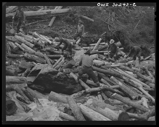 Spring pulpwood drive on the Brown Company timber holdings in Maine. Woodsmen with picks "putting in rears," moving into the streambed logs that have been left behind after a "head" has passed
