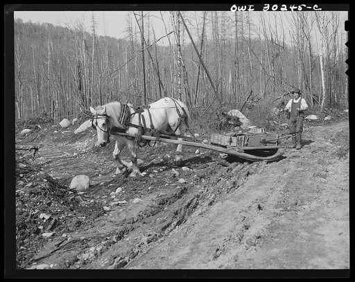 Spring pulpwood drive on the Brown Company timber holdings in Maine. A "mogee" brings lunch when men are working far from passable truck or wagon roads. "Mogee" is French-Canadian mildly profane slang for this horse drawn wheel-less wagon and various other non-descript things; the American equivalen