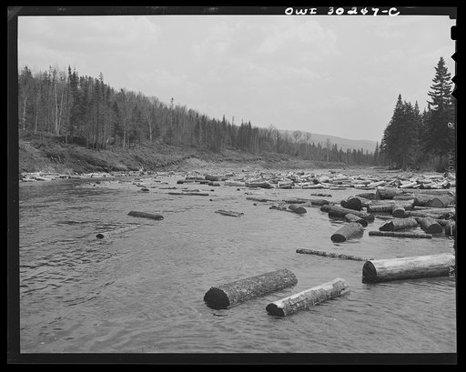 Untitled photo, possibly related to: Spring pulpwood drive on the Brown Company timber holdings in Maine. A "head" of water carrying logs from Dennison Bog Brook into the larger Kennebago River