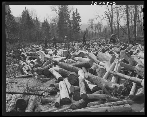 Spring pulpwood drive on the Brown Company timber holdings in Maine. Woodsmen with pikes working on a jam which has formed in Dennison Bog Brook