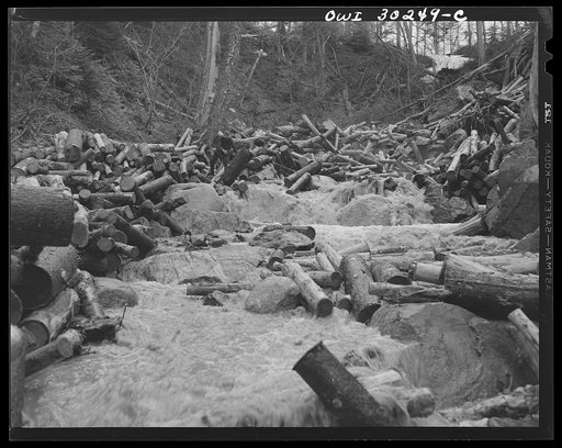 Untitled photo, possibly related to: Spring pulpwood drive on the Brown Company timber holdings in Maine. A "head" of water released from a dam upstream carries the logs down the brooks to larger streams and rivers