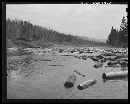 Untitled photo, possibly related to: Spring pulpwood drive on the Brown Company timber holdings in Maine. A "head" of water carrying logs from Dennison Bog Brook into the larger Kennebago River