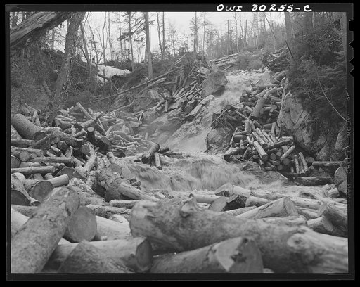 Spring pulpwood drive on the Brown Company timber holdings in Maine. A "head" of water released from a dam upstream carries the logs down the brooks to larger streams and rivers
