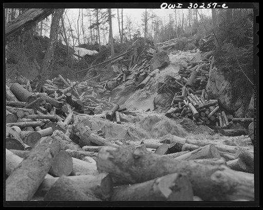 Untitled photo, possibly related to: Spring pulpwood drive on the Brown Company timber holdings in Maine. A "head" of water released from a dam upstream carries the logs down the brooks to larger streams and rivers
