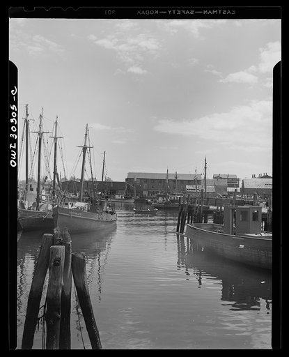 Fishing boats docked in Gloucester harbor. Gloucester, Massachusetts