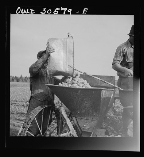 Untitled photo, possibly related to: Fort Kent, Aroostook County, Maine. Spring potato planting on the French Acadian farm of Leonard Gagnon. Leonard Gagnon loading fertilizer into the hopper of a seeder