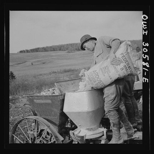 Fort Kent, Aroostook County, Maine. Spring potato planting on the French Acadian farm of Leonard Gagnon. Leonard Gagnon loading fertilizer into the hopper of a seeder