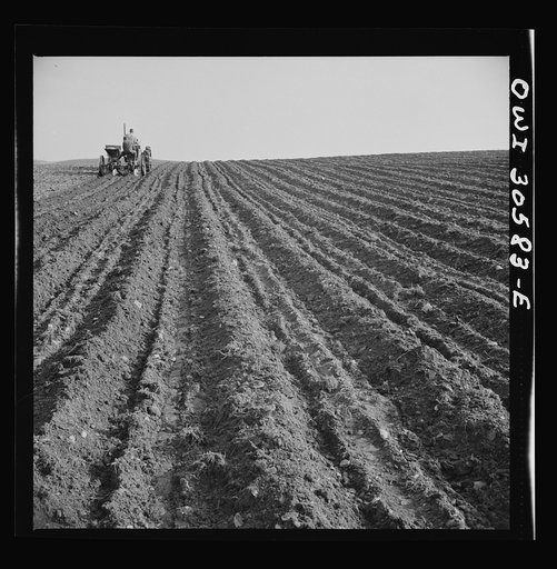 Untitled photo, possibly related to: Fort Kent, Aroostook County, Maine. Spring potato planting on the French Acadian farm of Leonard Gagnon