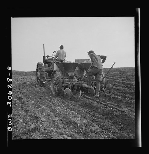 Spring potato planting on the French Acadian farm of Leonard Gagnon. Fort Kent, Aroostook County, Maine