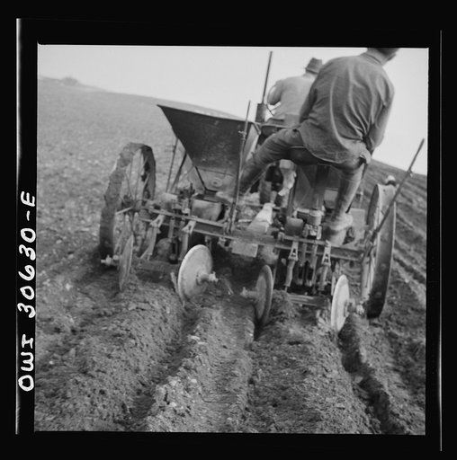 Spring potato planting on the French Acadian farm of Leonard Gagnon. Fort Kent, Aroostook County, Maine
