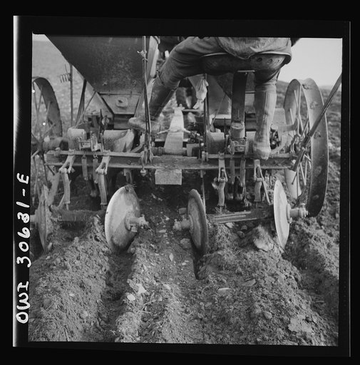 Spring potato planting on the French Acadian farm of Leonard Gagnon. Fort Kent, Aroostook County, Maine
