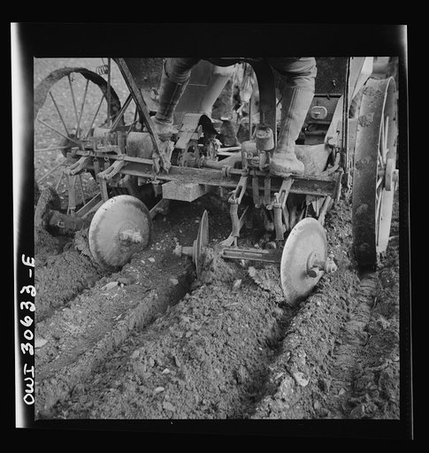 Spring potato planting on the French Acadian farm of Leonard Gagnon. Fort Kent, Aroostook County, Maine. Harrow of potato seeding machine