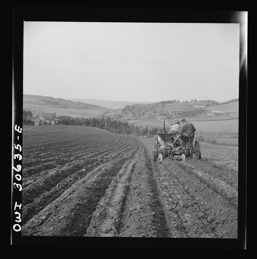 Spring potato planting on the French Acadian farm of Leonard Gagnon. Fort Kent, Aroostook County, Maine. Planting potatoes