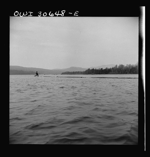 Untitled photo, possibly related to: Spring wood pulp drive on the Brown Company timber holdings in Maine. Steamer stretching out the boom surrounding the load of logs it must tow down Mooselookmeguntic Lake