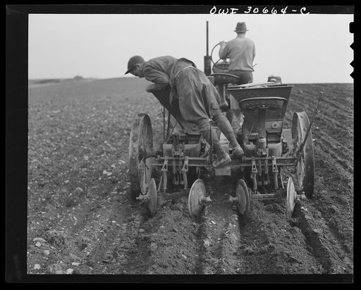 Fort Kent, Aroostook County, Maine. Spring potato planting on the French Acadian farm of Leonard Gagnon