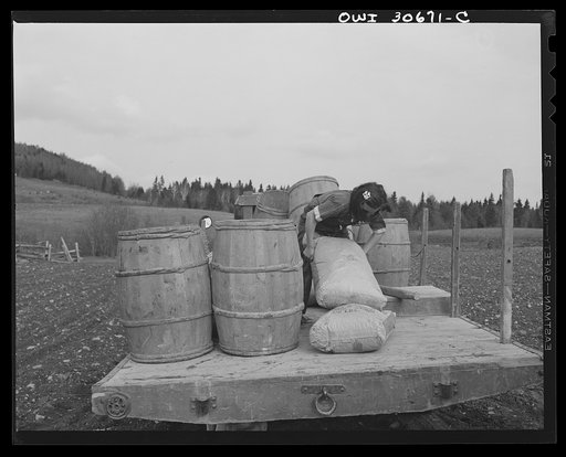Fort Kent, Aroostook County, Maine. Spring potato planting on the French Acadian farm of Leonard Gagnon. Marianne Gagnon, the farmer's daughter, lifting potato fertilizer before dumping it into a seeder