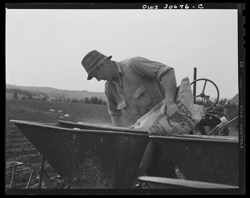 Fort Kent, Aroostook County, Maine. Spring pototo planting on the French Acadian farm of Leonard Gagnon. Leonard Gagnon dumping fertilizer into the hopper of a seeder