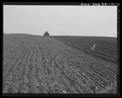 Fot Kent, Aroostook County, Maine. Spring potato planting on the French Acadian farm of Leonard Gagnon