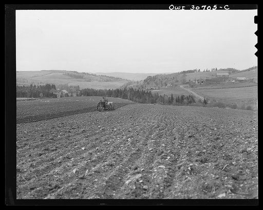 Fort Kent, Aroostook County, Maine. Spring planting on the French Acadian farm of Leonard Gagnon